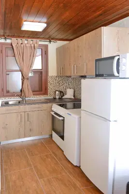 a kitchen with a white refrigerator and a microwave at Xenios Zeus Maisonettes Old Town Rhodes in Rhodes Town