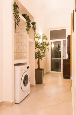 a laundry room with a washing machine and potted plants at Niochori Heritage: The Mermaid Suite in Rhodes Town