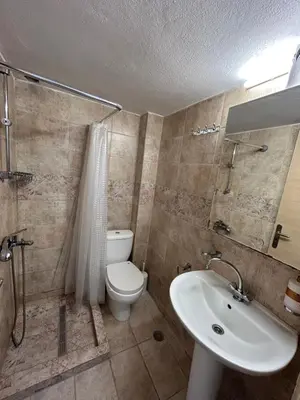 a bathroom with a toilet and a sink and a shower at Maroulitsas Sea Esta 1 in Haraki
