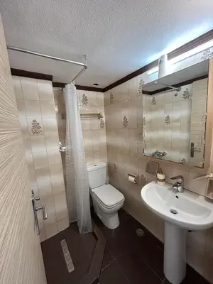 a bathroom with a toilet and a sink at Maroulitsas Sea Esta 2 in Haraki