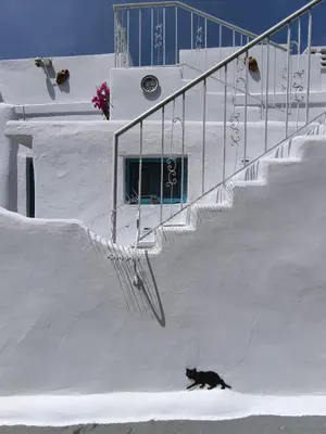 a black cat walking down a snow covered staircase at Rustic House Archangelos in Archangelos
