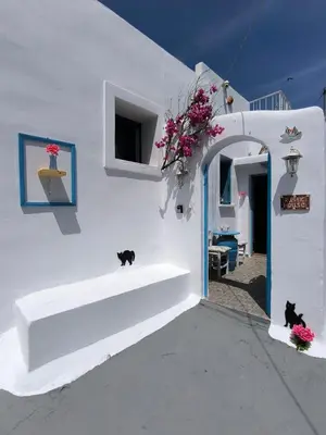 two black cats sitting on the side of a white building at Rustic House Archangelos in Archangelos