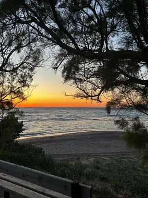 a view of a beach at sunset with a bench at Dim Domus _ Apolakkia, South Rhodes in Apolakkiá