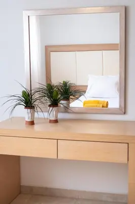 a mirror on top of a dresser with two plants at Naelia in Pastida
