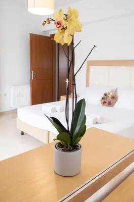 a room with a table with a plant on it at Naelia in Pastida
