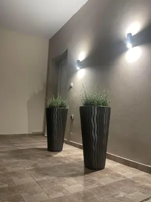 two large black vases with plants in a room at Naelia in Pastida