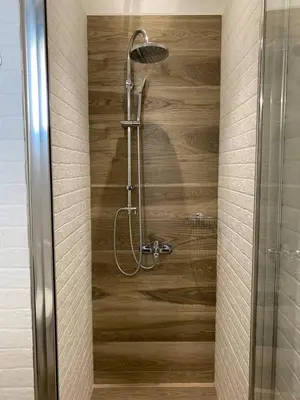 a shower in a bathroom with a wooden wall at Filoxenia Apartment in Asgourou