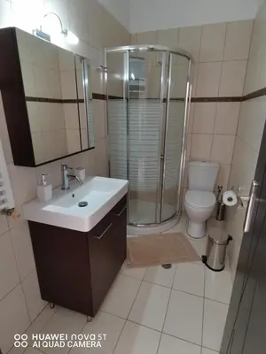 a bathroom with a shower and a sink and a toilet at Stella Luxury Apartment Kalathos in Kalathos