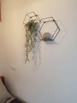 two mirrors on a wall with a plant at Kalokairini Avra in Archangelos