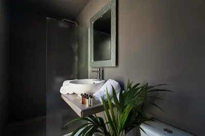 a bathroom with a sink and a mirror and a plant at Villa Eunomia in Gennadi