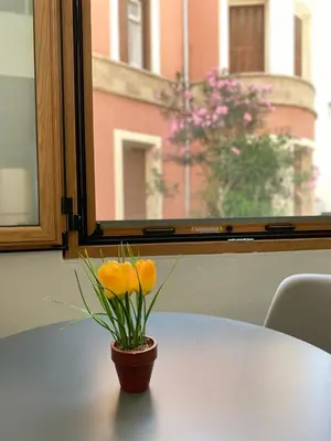 a vase with oranges on a table in front of a window at Tête à Tête - Luxury Apartment in Rhodes Town