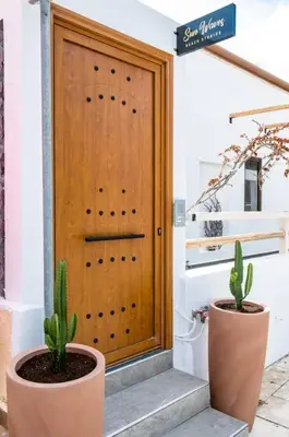 two cactuses in pots sitting in front of a door at Sunwaves Beach studio II in Ialyssos