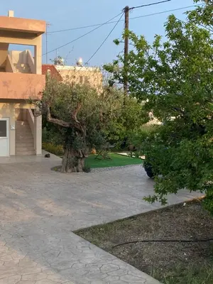 a tree sitting in the middle of a driveway at Fotis House 2 in Afantou