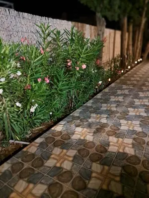 a tiled walkway with flowers and plants at Déjà Blue in Archangelos