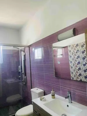 a bathroom with a toilet and a sink and a shower at George House in Archangelos