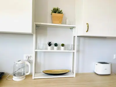 a white shelf with potted plants and a bowl on it at Vixen Apartment Studio 2 in Theologos