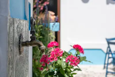 a water faucet on a door with pink flowers at Genovefa traditional house in Koskinou