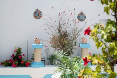 a group of plants sitting on top of a table at Genovefa traditional house in Koskinou