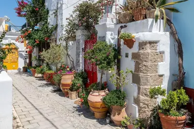 a row of potted plants on the side of a building at Genovefa traditional house in Koskinou
