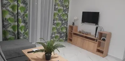 a living room with a television and a potted plant at A&J Apartments in Gennadi