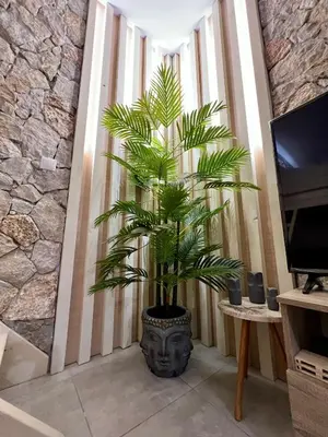 a plant in a pot in a room with a wall at Casa Sym Faliraki in Faliraki