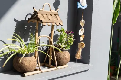 a shelf with two potted plants and a bird house at (Stoa escape) traditional home in Archangelos