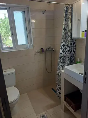 a bathroom with a toilet and a sink and a shower at Hibiscus Green Appartments 1 in Afantou