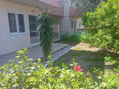 a palm tree in the yard of a house at Hibiscus Green Appartments 1 in Afantou